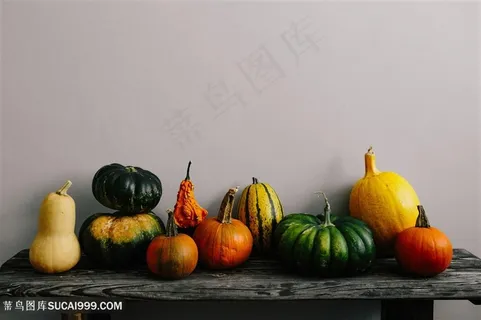 唯美食物素食南瓜