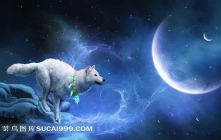 星空下的雪狼图片