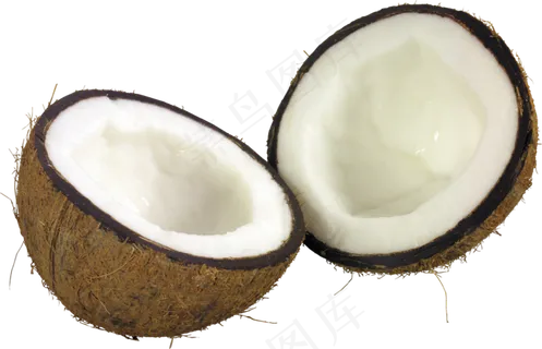 椰子免抠素材 (12)