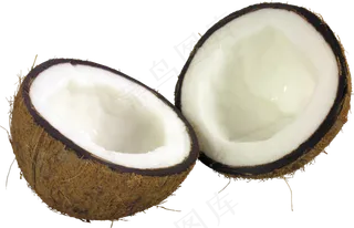 椰子免抠素材 (12)