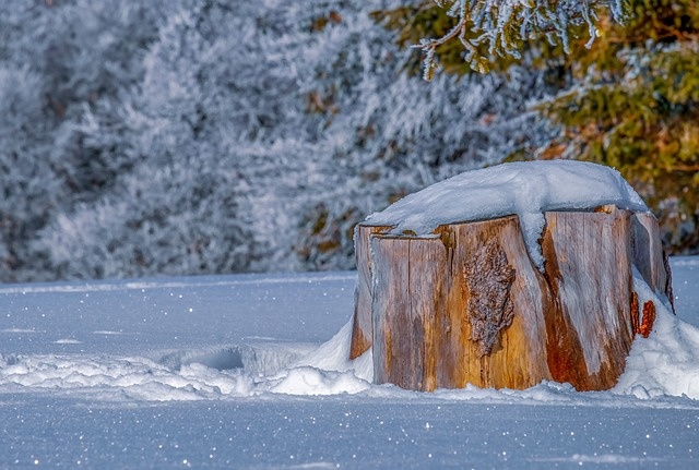 冬天白雪背景风景