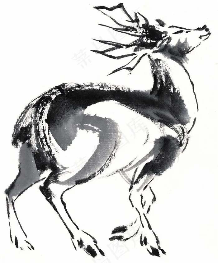 野生动物国画美图素材