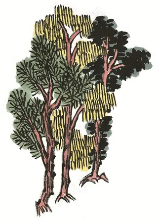 树木绘画摄影图片