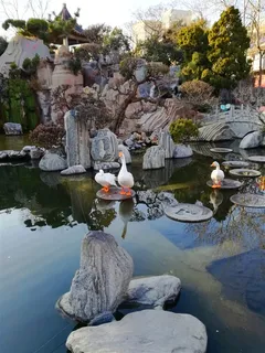 公园池边观鹅图 公园池边观鹅图