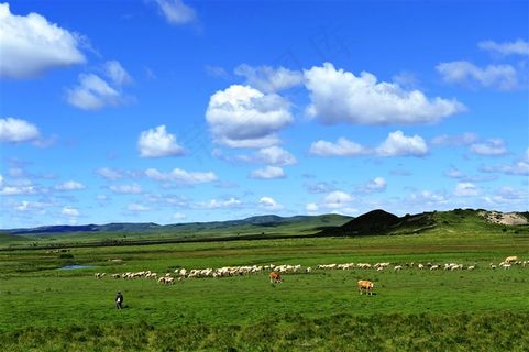 一望无际的大草原