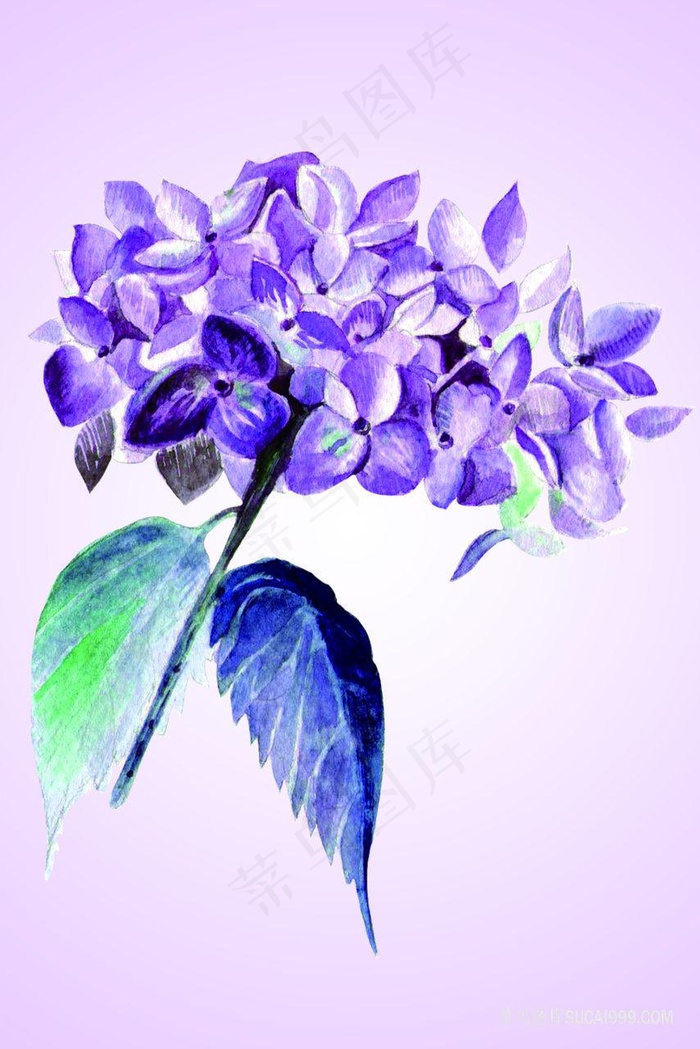 唯美水彩紫色花卉艺术装饰画
