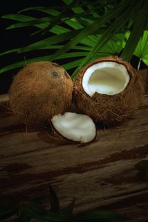 木板上的两个大椰子
