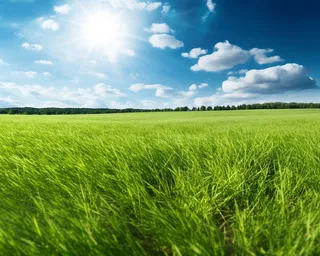 蓝天白云阳光明媚的绿油油的绿草摄影图