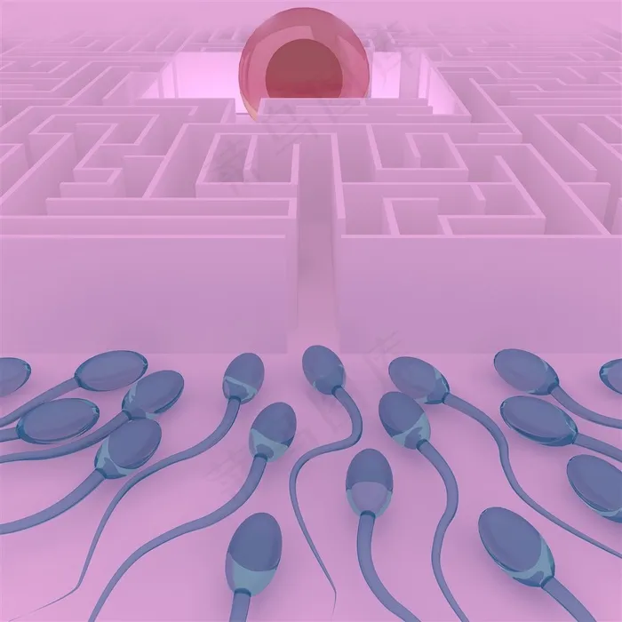 模拟受精过程高清图片 模拟受精过程高清图片