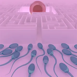 模拟受精过程高清图片 模拟受精过程高清图片