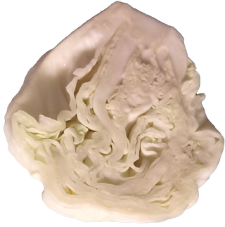 包菜菜心免抠摄影元素素材