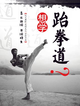 水墨画跆拳道海报