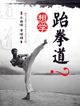 水墨画跆拳道海报