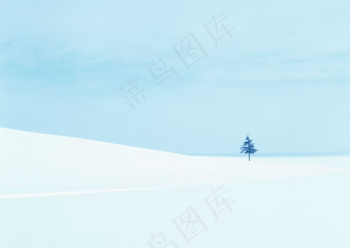 冰天雪地 303