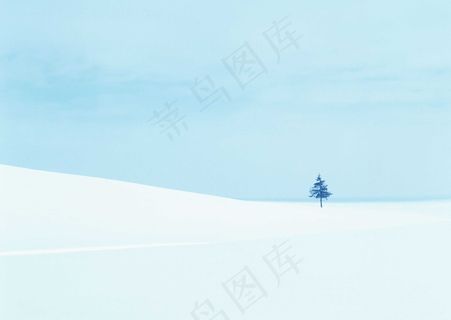 冰天雪地 303