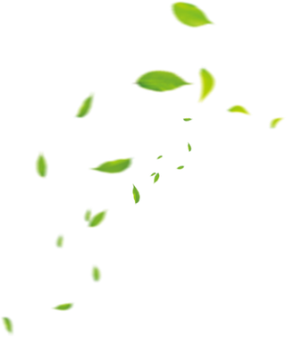 树木树枝树叶免扣素材