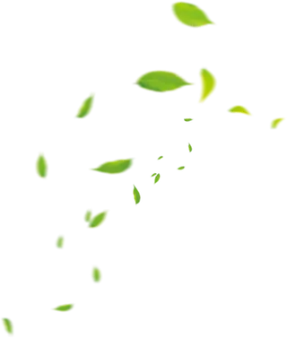 树木树枝树叶免扣素材