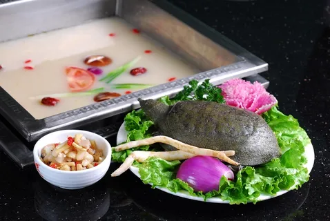 火锅麻辣烫锅底川菜锅底-沙参甲鱼汤