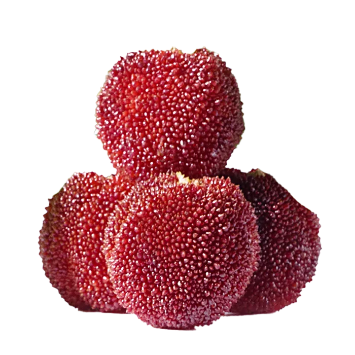 77杨梅 (2)水果超市商品白底图免抠实物摄影png格式图片透明底