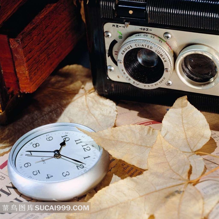 老式相机时钟枫叶