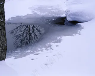 雪地风光图片下载