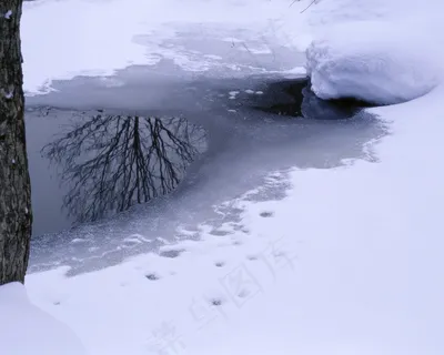 雪地风光图片下载 雪地风光图片下载