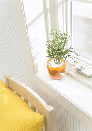 椅子上的橙色抱枕