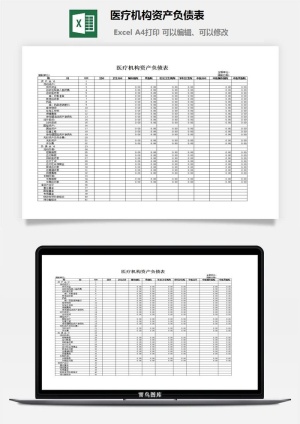 医疗机构资产负债表excel模板