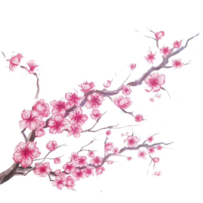 梅花腊梅国画