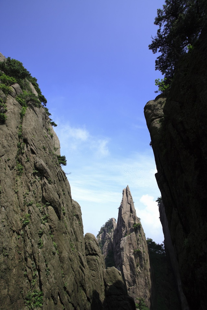 安徽黄山图片-第48张