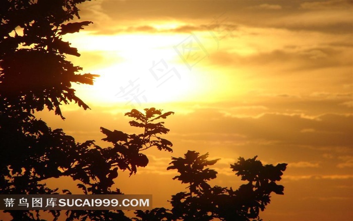 美丽田园风景背景