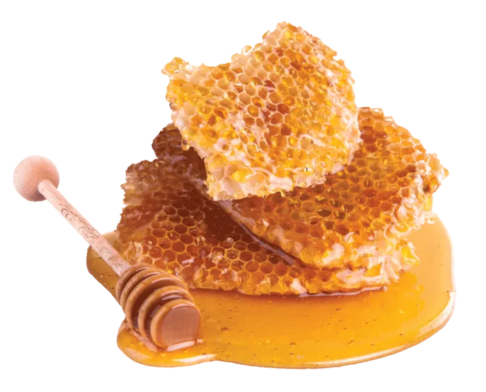 蜂蜜   蜂蜜   蜂蜜