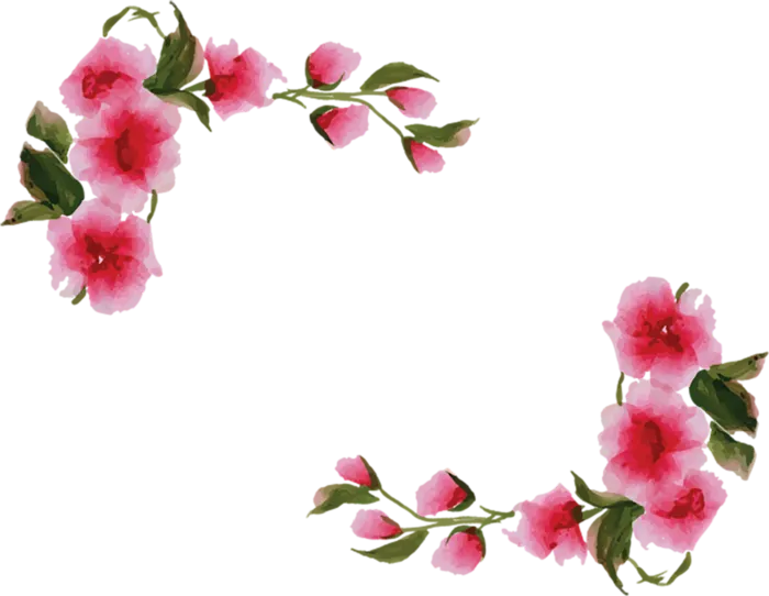 樱花草卡通简笔绘画春季谷雨
