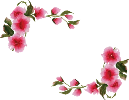 樱花草卡通简笔绘画春季谷雨