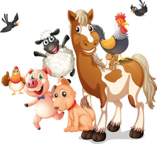 小马驹公鸡素材卡通素材