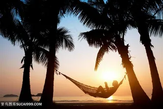 夕阳下坐在吊床上的人高清图