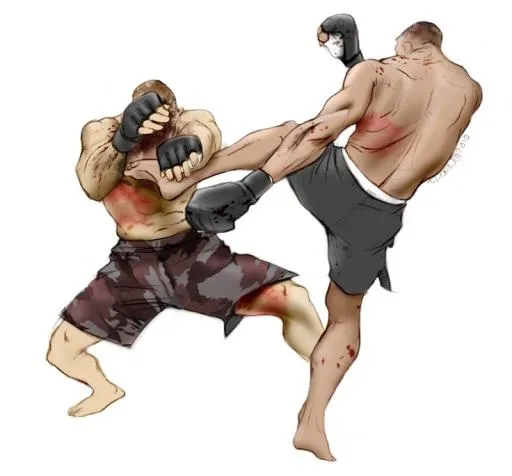 综合格斗 PNG, MMA PNG免抠(736x685)