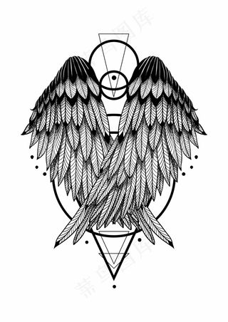 黑白羽翼 翅膀羽毛