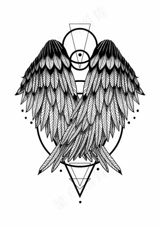 黑白羽翼 翅膀羽毛