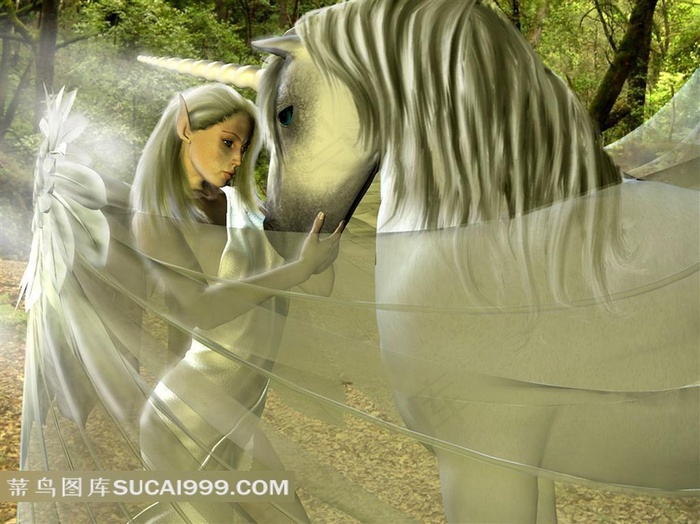 精美骏马性感翅膀性感美女插画