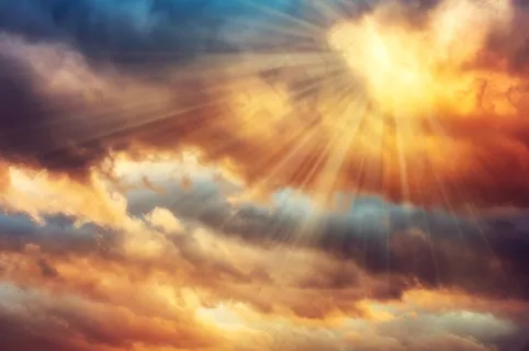 阳光普照的图片