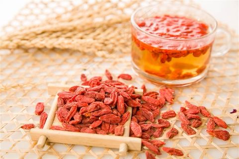 宁夏枸杞红枸杞摄影