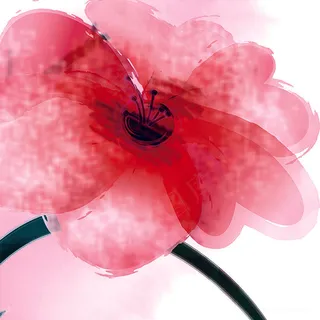 唯美粉色花卉花朵插画 唯美粉色花卉花朵插画