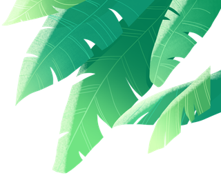 树木树枝树叶免扣素材