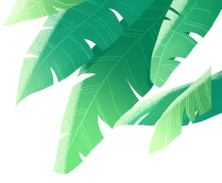 树木树枝树叶免扣素材