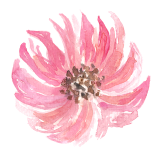 唯美森系手绘水彩花朵 免抠