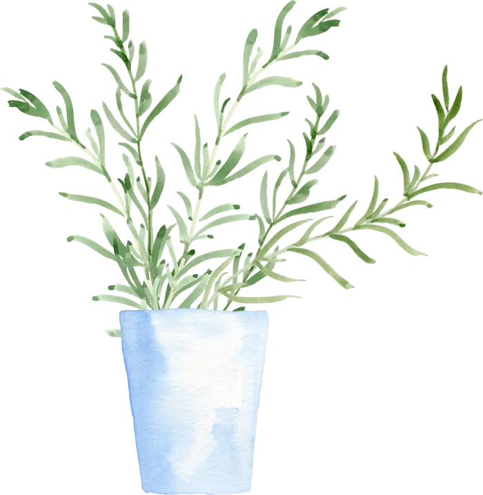 植物免扣植物水彩插画设计素材