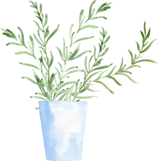 植物免扣植物水彩插画设计素材