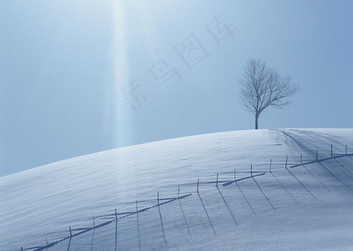 冰天雪地 11