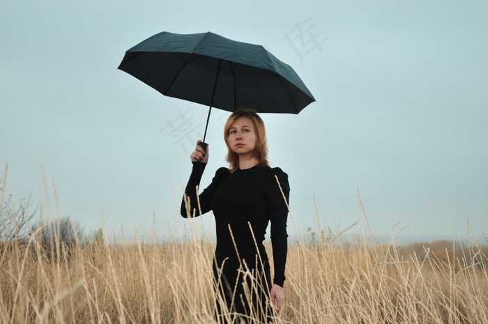 野草丛写真图片